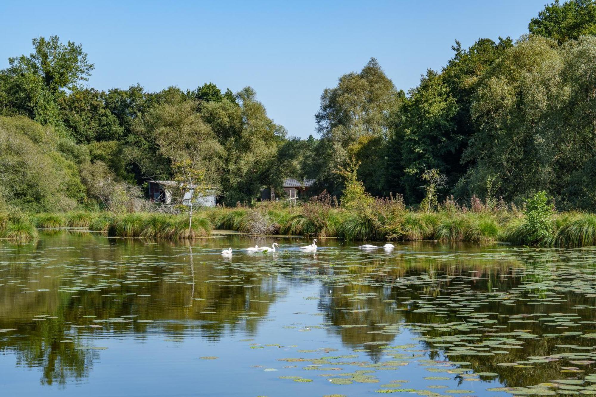 La Cabane Du Pont Du Douet Mazières-de-Touraine 外观 照片